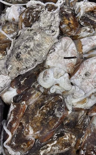 Seiche Sauvage 200-400 (5Kg)