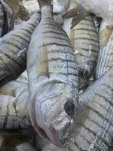 Marbré Sauvage 100-200 (5Kg)